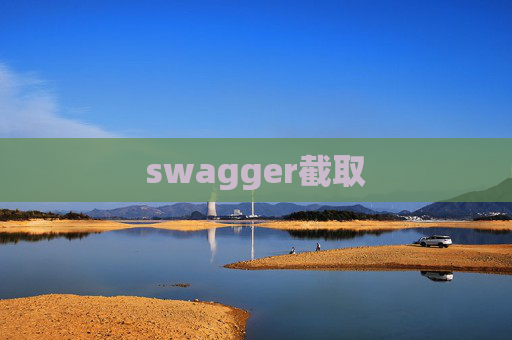 swagger截取